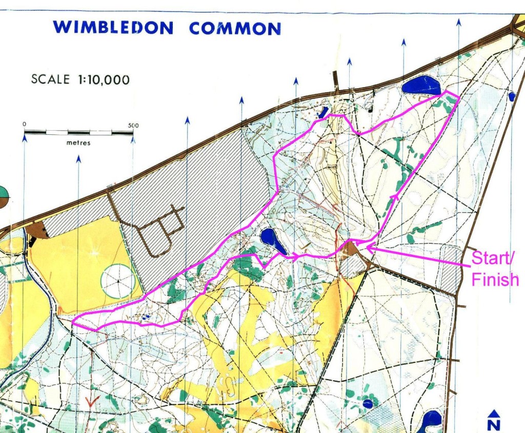 Wimbledon-Common-1024×845